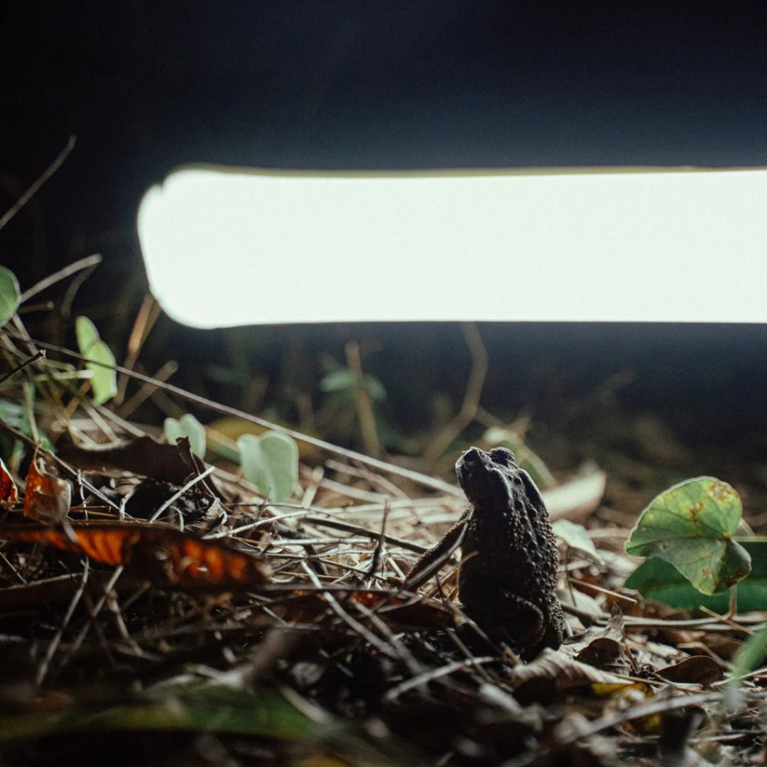 OxyGlo - De ultieme alles-in-één lamp