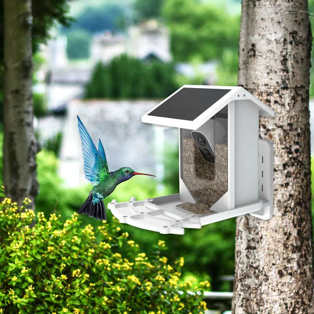 BirdView Solar Voederstation – Slimme Vogelcamera met AI Herkenning