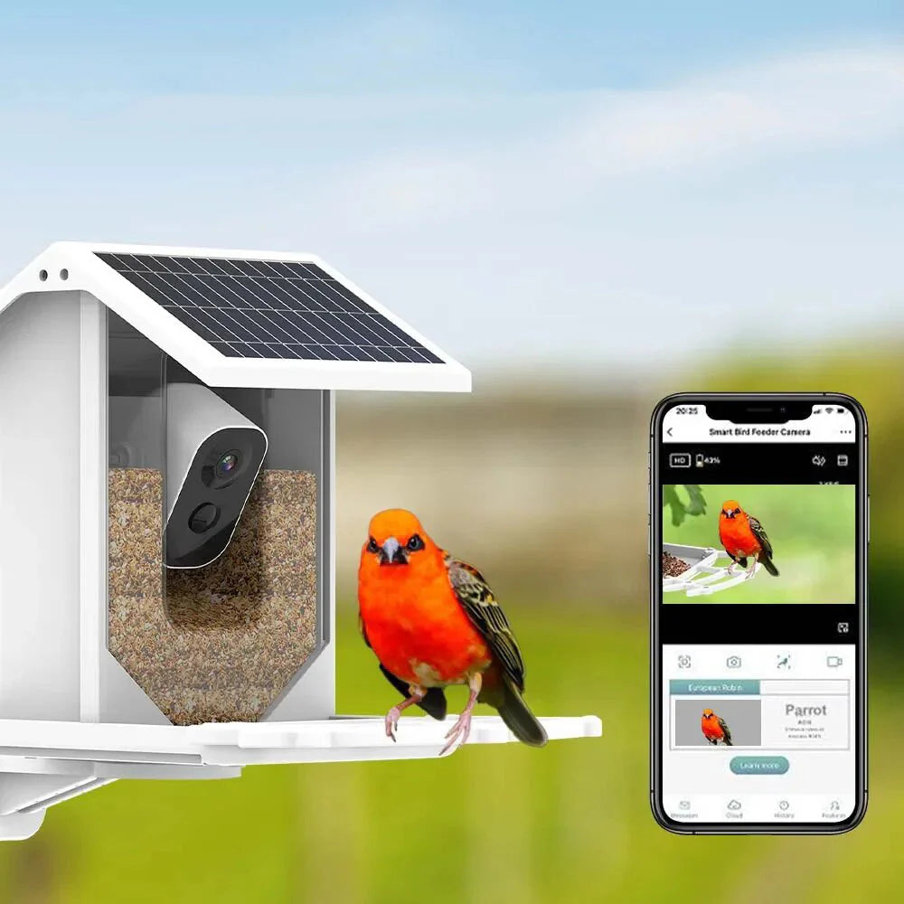 BirdView Solar Voederstation – Slimme Vogelcamera met AI Herkenning