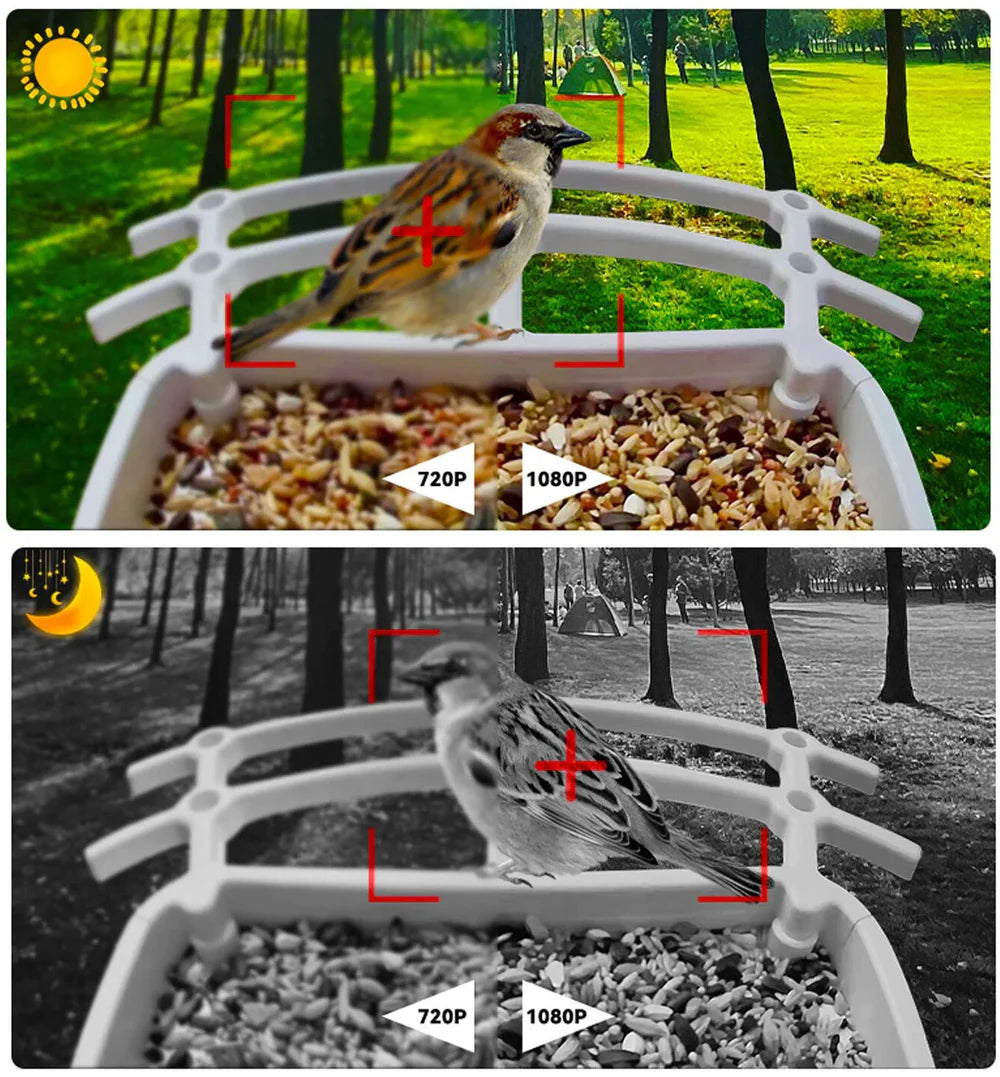 BirdView Solar Voederstation – Slimme Vogelcamera met AI Herkenning