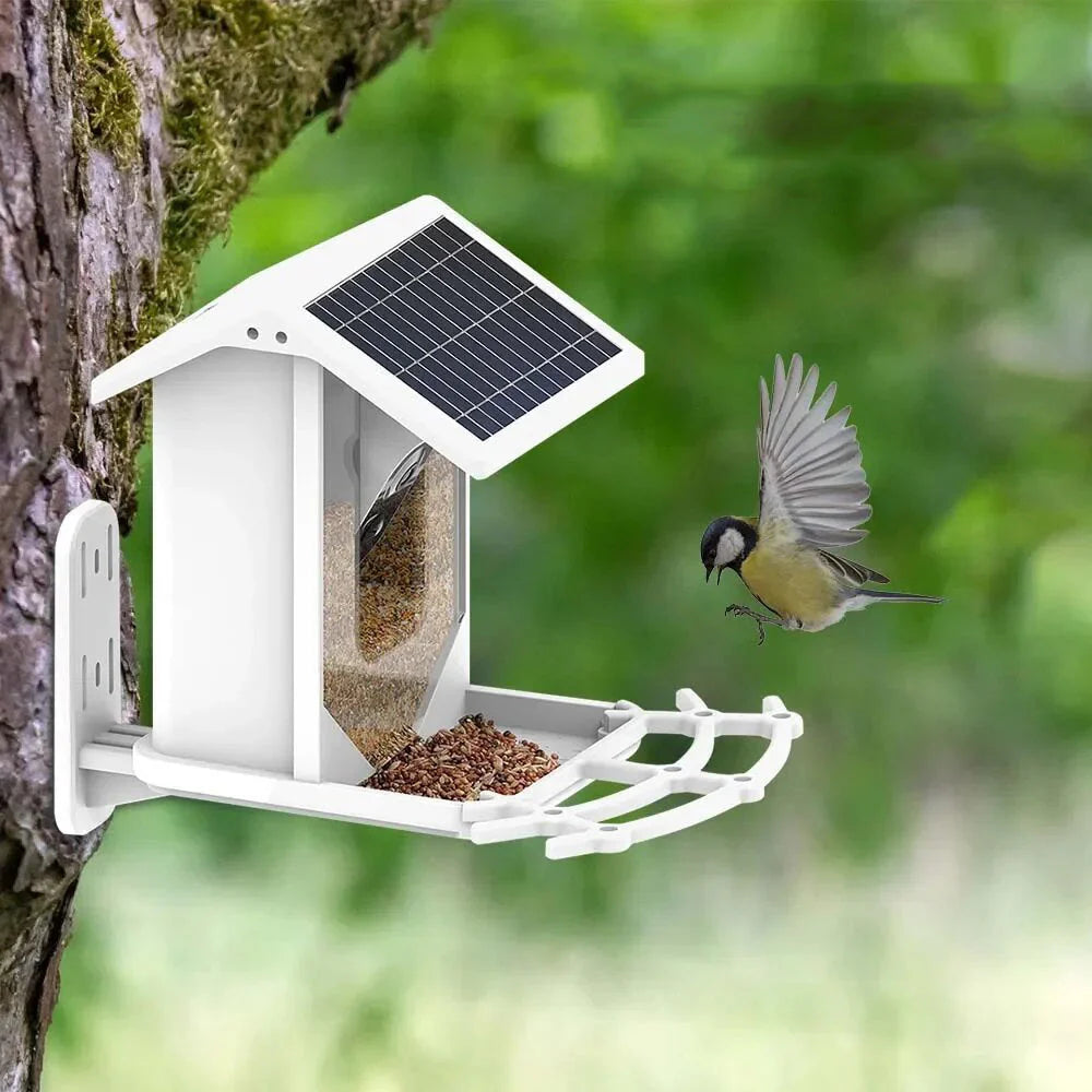 BirdView Solar Voederstation – Slimme Vogelcamera met AI Herkenning