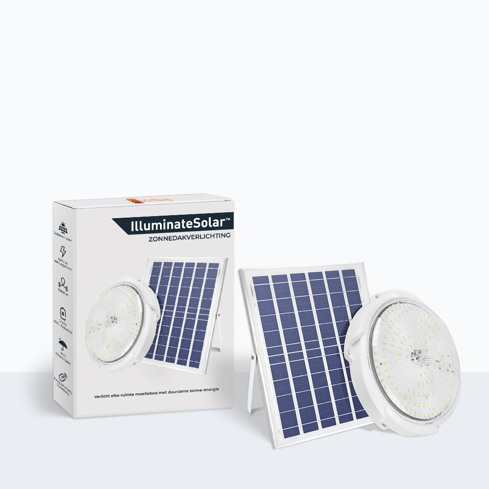 Indoor/Outdoor Solar Ceiling Light with Remote Control
