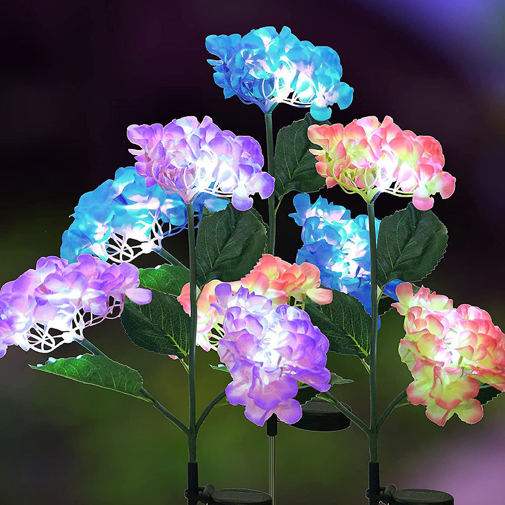 Hortensia - Solarlampen