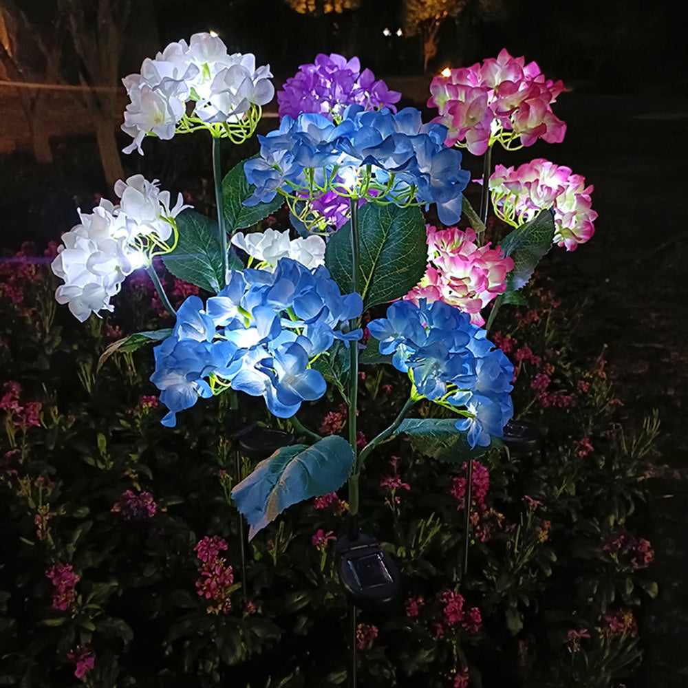 Hortensia - Solarlampen